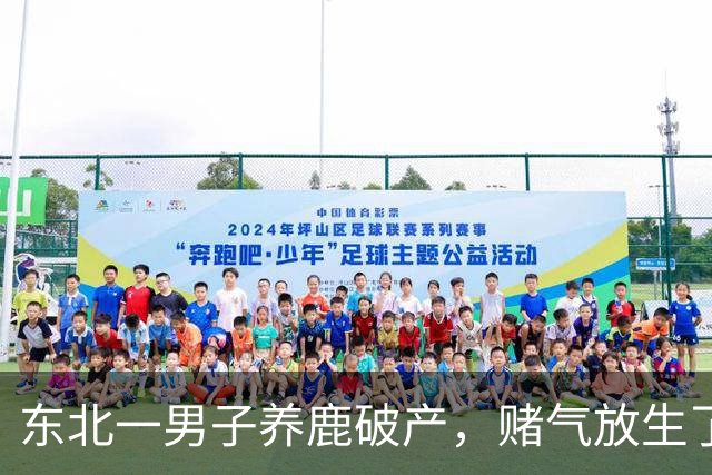 东北一男子养鹿破产，赌气放生了30头鹿，8年后上山，眼前一幕却让他泪崩了...