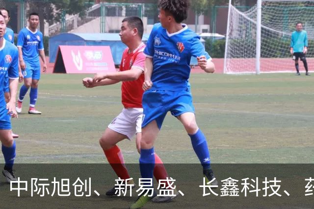 中际旭创、新易盛、长鑫科技、药明康德集体被增持，机构：当前A股不宜过度悲观