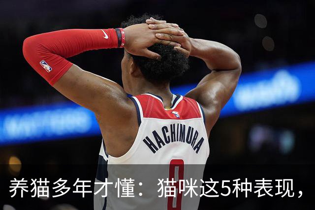 养猫多年才懂：猫咪这5种表现，不是撒娇，是旺家的征兆