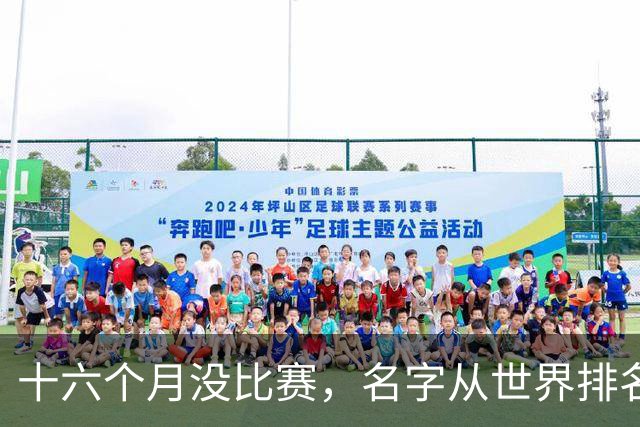 十六个月没比赛，名字从世界排名上消失：19岁的全红婵，还能自己走回去吗？
