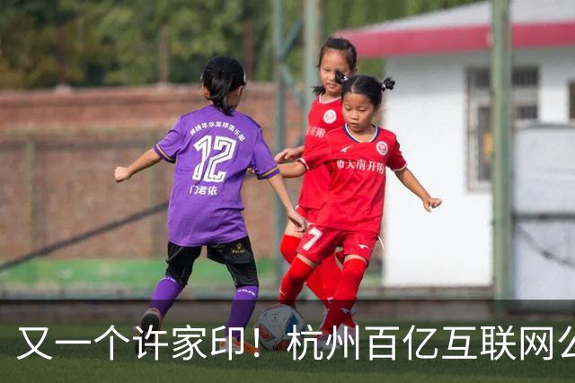 又一个许家印！杭州百亿互联网公司暴雷，49岁创始人失联被立案