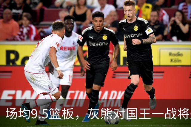 场均9.5篮板，灰熊对国王一战将失去他