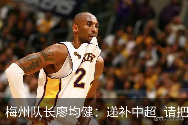 梅州队长廖均健：递补中超 请把我们当成广东队