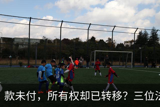 款未付，所有权却已转移？三位法学专家提出异议，陕西1200万元原煤追偿案申请再审