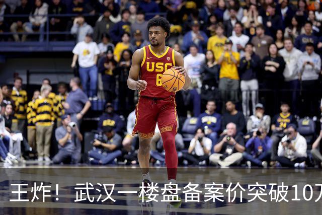 王炸！武汉一楼盘备案价突破10万元/㎡