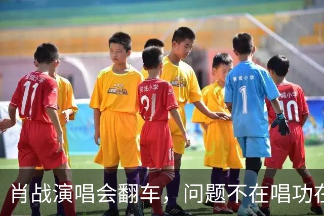 肖战演唱会翻车，问题不在唱功在造型