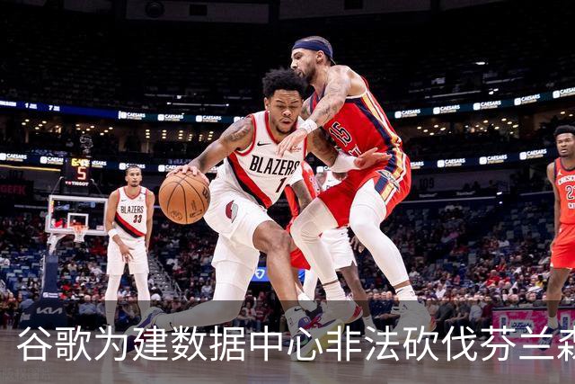 谷歌为建数据中心非法砍伐芬兰森林25万棵树，狼群被迫进村觅食