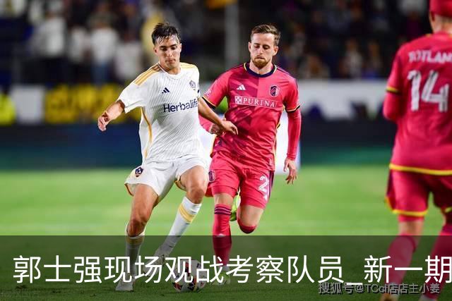 郭士强现场观战考察队员 新一期中国男篮名单悬念待解