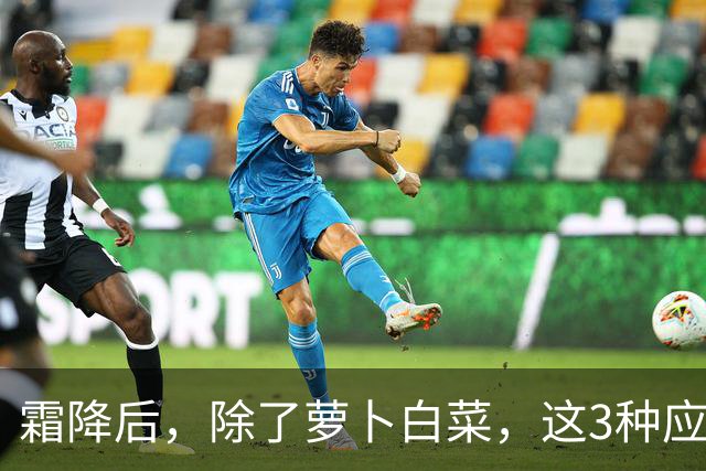 霜降后，除了萝卜白菜，这3种应季蔬菜要多吃，鲜嫩营养，润燥养人，好吃还不贵！