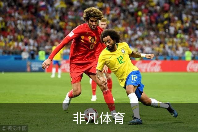 非凡体育平台介绍图片