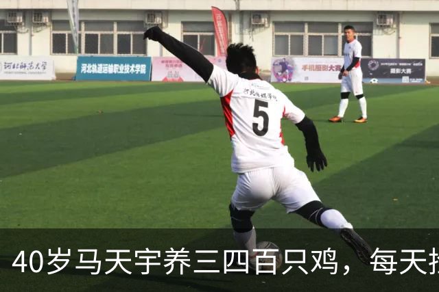 40岁马天宇养三四百只鸡，每天捡100多枚蛋，自曝钱够花便无所谓，是活明白了还是提前认输
